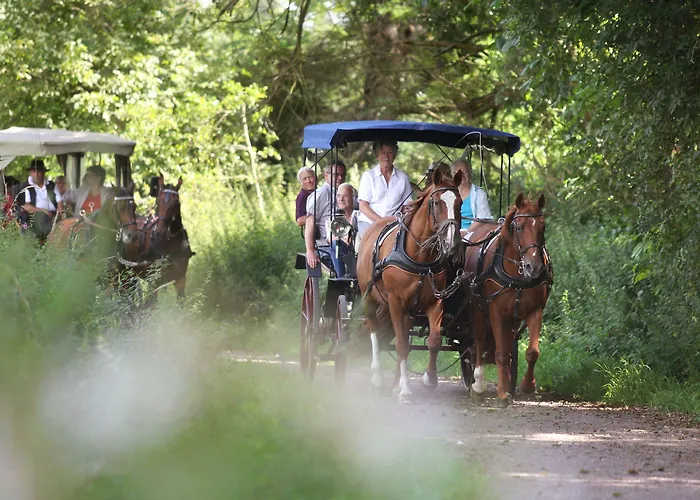 Ξενοδοχείο Hotel Central